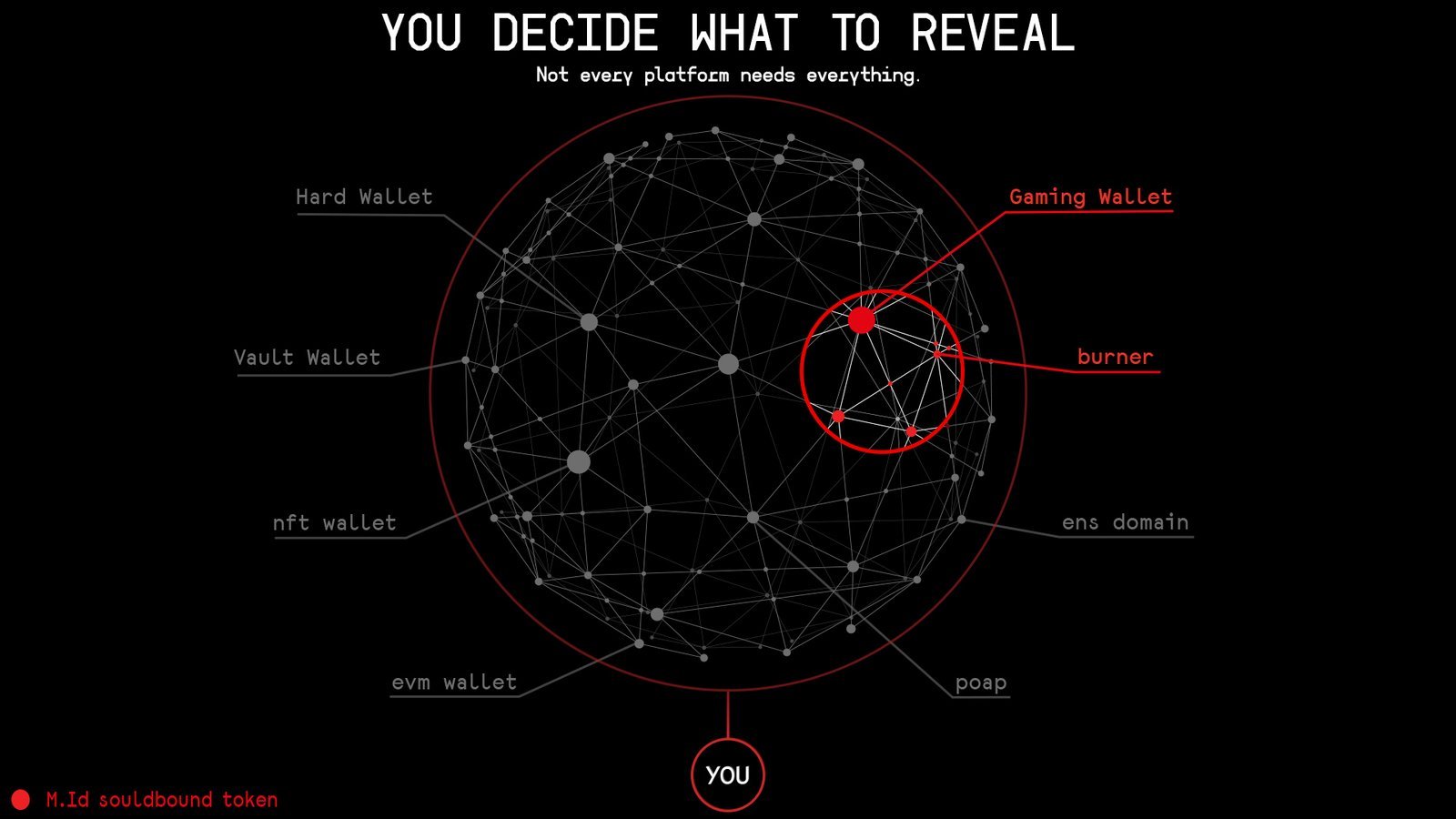 The platform sees one cluster, not the whole sphere